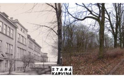 #16 ŠKOLA NA NOVÉM YORKU