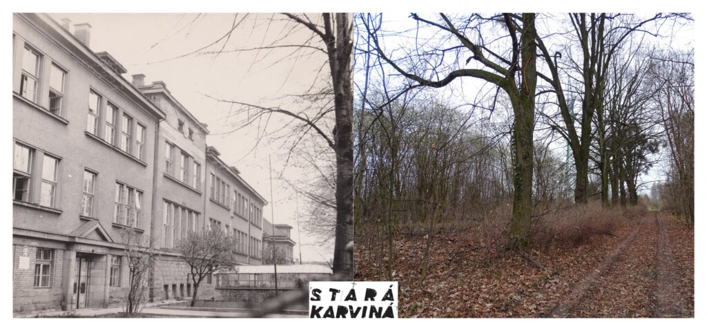 #16 ŠKOLA NA NOVÉM YORKU