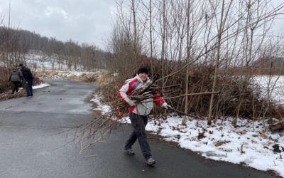 ÚPRAVA OKOLÍ KOSTELA SV. PETRA Z ALKANTARY (pátek 04.03.2022 – sobota 05.03.2022)